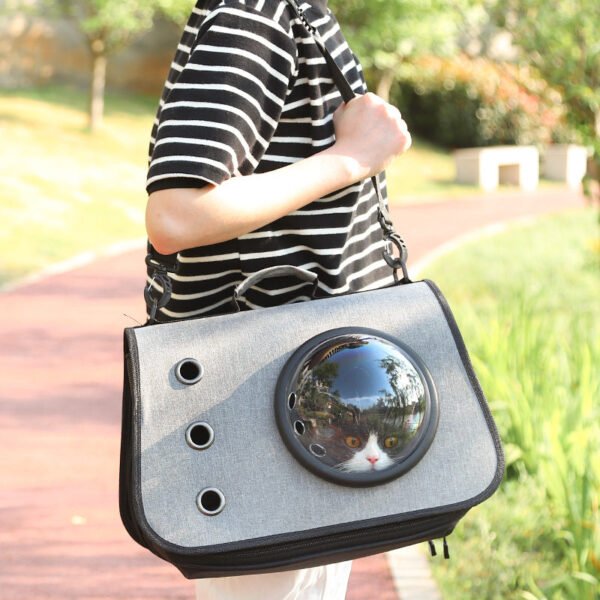 Person carrying a gray cat carrier bag with a transparent bubble window outdoors