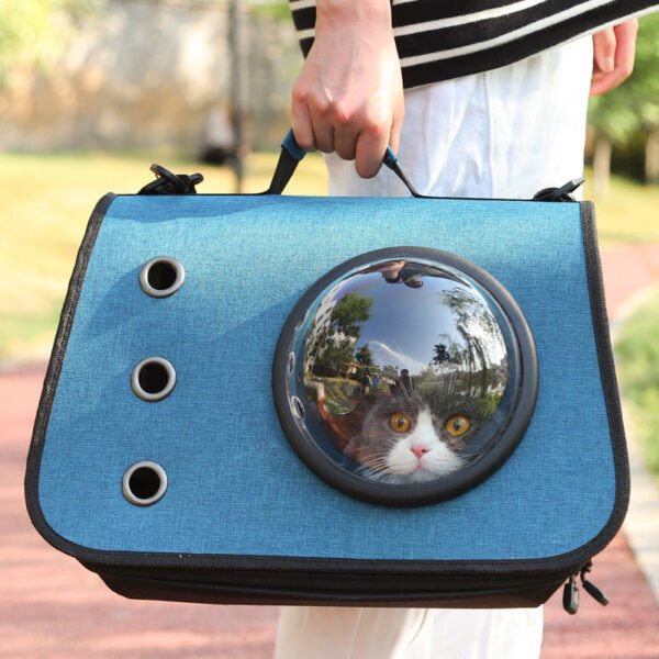 Person carrying a blue cat carrier bag with a transparent bubble window and ventilation holes outdoors