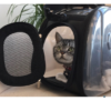 Gray tabby cat inside transparent pet carrier with paw print design on a couch