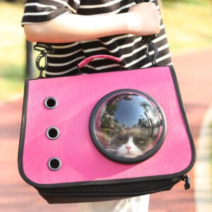 Cat in pink bubble carrier backpack, portable pet travel bag with ventilation holes outdoors