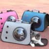 Cat in a grey pet carrier with bubble window, pink and blue carriers in background, outdoors
