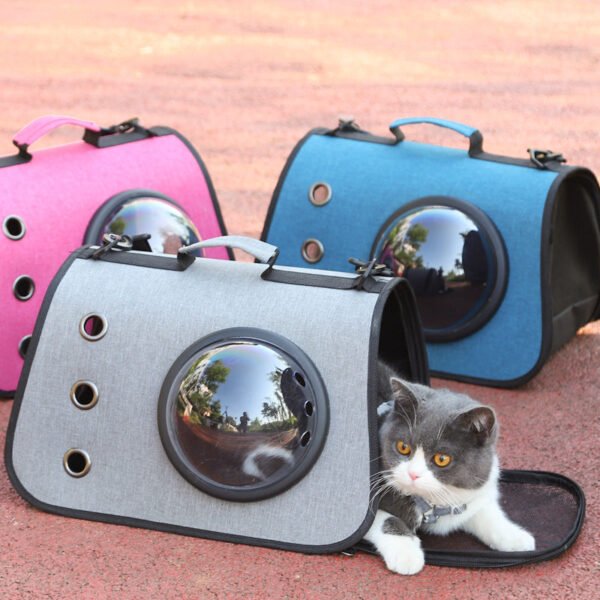 Cat in a grey pet carrier with bubble window, pink and blue carriers in background, outdoors