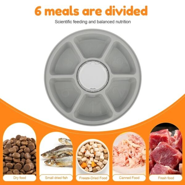 1d09529c64c96024816c8fc6069ead6e Gray 6-compartment cat feeder tray above various pet foods including dry, fish, freeze-dried, canned, and fresh options.