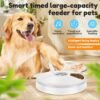 4674963456353c37537c4497cd2432f9 Golden retriever next to smart automatic pet feeder in bright living room setting