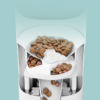 729e47d340efab4cadffd56d31c2 Automatic cat feeder with anti-jamming system dispensing dry cat food into a bowl