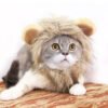 Gray and white cat wearing a fluffy lion mane costume on a patterned surface