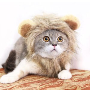 Gray and white cat wearing a fluffy lion mane costume on a patterned surface
