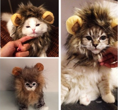 Cats wearing lion mane costume hats with plush ears, cute pet accessory for playful cats
