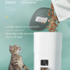 95ff15d94ae7b828c5ec6827252b Automatic cat feeder with large 6L capacity, dry food dispenser, and playful tabby kitten