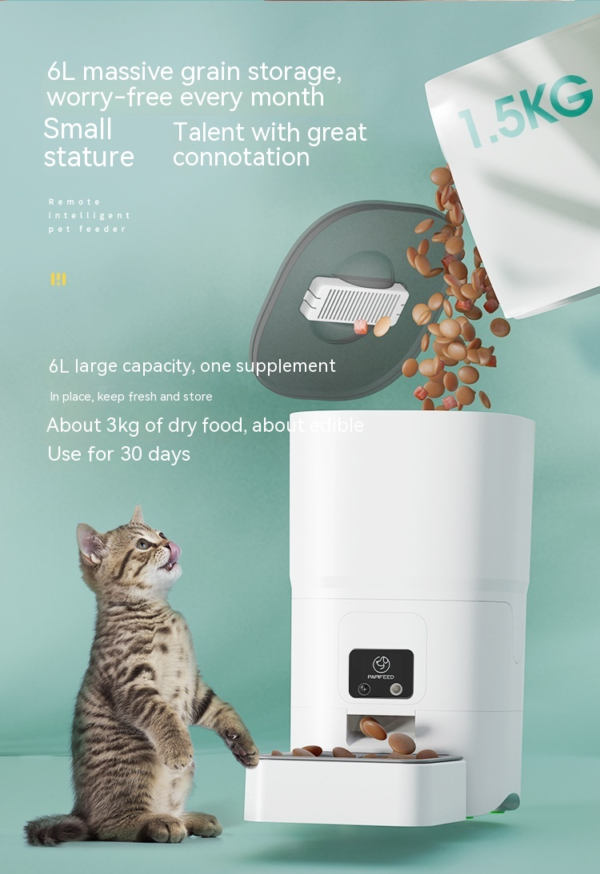 95ff15d94ae7b828c5ec6827252b Automatic cat feeder with large 6L capacity, dry food dispenser, and playful tabby kitten