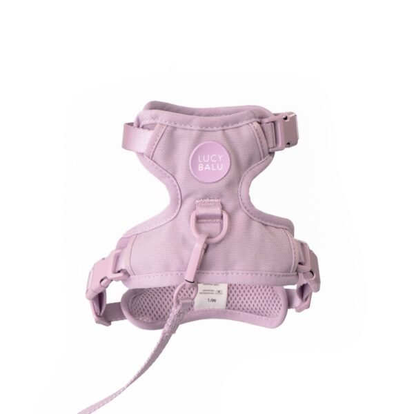 LB-Explorer_2000x2000_10 Escape-Proof Cat Harness & Leash Set with AirTag Pocket