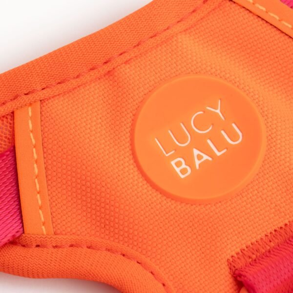 LB-Explorer_2000x2000_3 Escape-Proof Cat Harness & Leash Set with AirTag Pocket