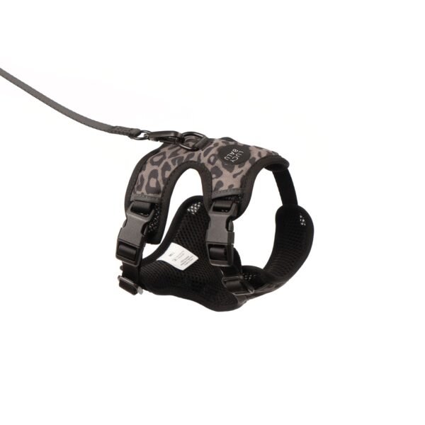 LB-Explorer_2000x2000_6 Escape-Proof Cat Harness & Leash Set with AirTag Pocket