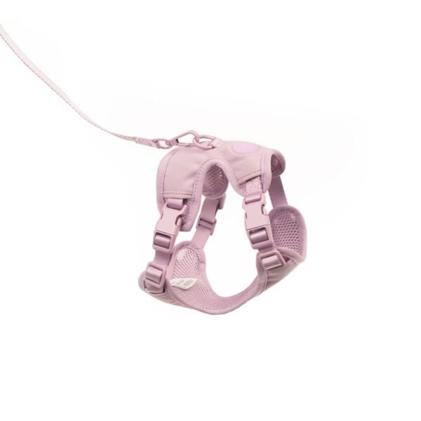 LB-Explorer_2000x2000_9 Escape-Proof Cat Harness & Leash Set with AirTag Pocket