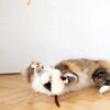 Natural Sheepskin Cat Toy: Mouse
