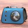 Blue portable cat carrier bag with bubble window and ventilation holes on outdoor path