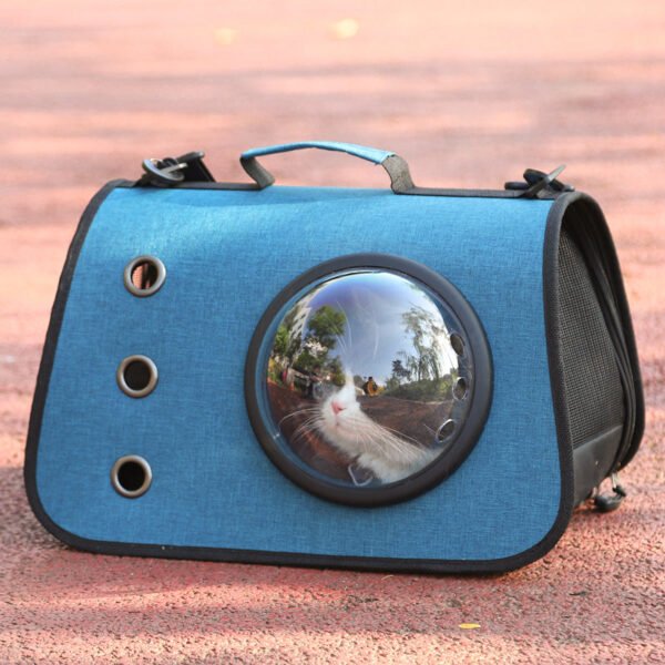 Blue portable cat carrier bag with bubble window and ventilation holes on outdoor path