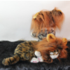 Two plush cat toys with faux fur manes on black and white background, luxury cat accessory