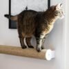 Wall-Mounted Cat Scratching Post – Sisal Climbing Log