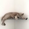 Corner Wall Cat Shelf – Cozy Elevated Lounger
