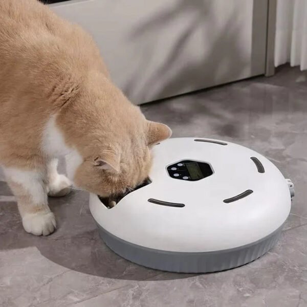 d221a0298b4a98801d6ddac2bf92e7ef Cat eating from an automatic feeder on a gray tile floor
