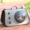 Gray cat carrier with bubble window, cat inside, on outdoor path with ventilation holes