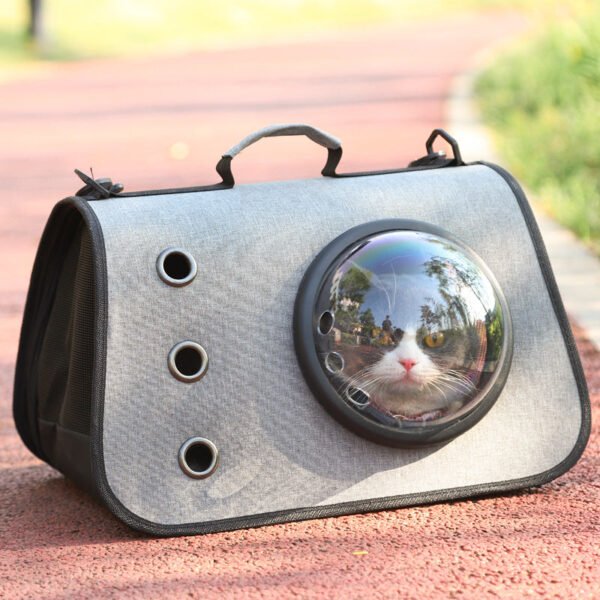 Gray cat carrier with bubble window, cat inside, on outdoor path with ventilation holes