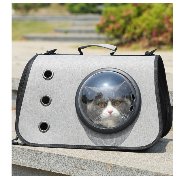 Gray cat carrier bag with bubble window and ventilation holes, cat inside outdoors
