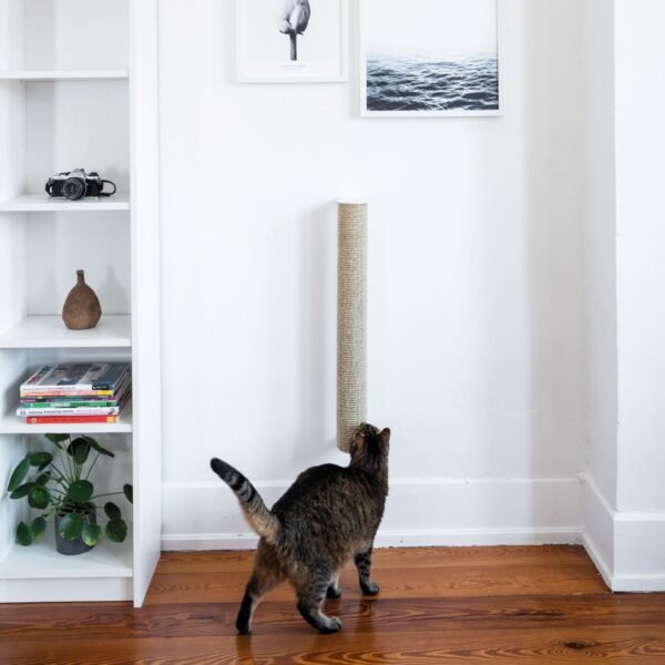 Wall-Mounted Cat Scratching Post – Sisal Climbing Log