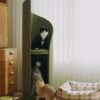 Elegant Cat Tower of Time Tree