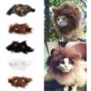 Cats wearing furry lion mane costumes in various colors, novelty cat accessory hats