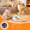 f35a8a25a205f07fbe13957e7c7f38e9 Child using automatic pet feeder with voice announcement for dogs in living room