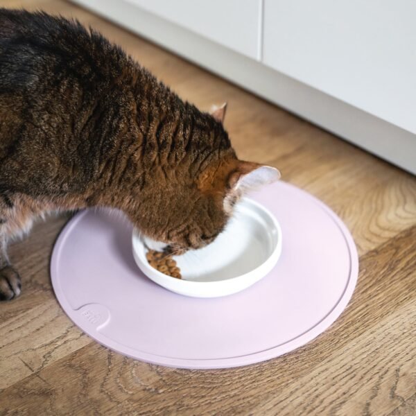 Porcelain Cat Bowls – Whisker-Friendly Feeding Set (2 Pack)
