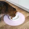 Porcelain Cat Bowls – Whisker-Friendly Feeding Set (2 Pack)
