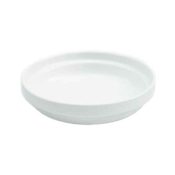 Porcelain Cat Bowls – Whisker-Friendly Feeding Set (2 Pack)