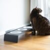 Elevated Cat Feeding Station – Bowl Set (Ergonomic Design)