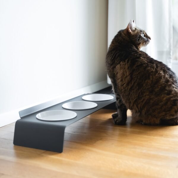 Elevated Cat Feeding Station – Bowl Set (Ergonomic Design)