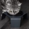 Porcelain Cat Bowls – Whisker-Friendly Feeding Set (2 Pack)