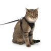 geschirr-katze-leine Escape-Proof Cat Harness & Leash Set with AirTag Pocket