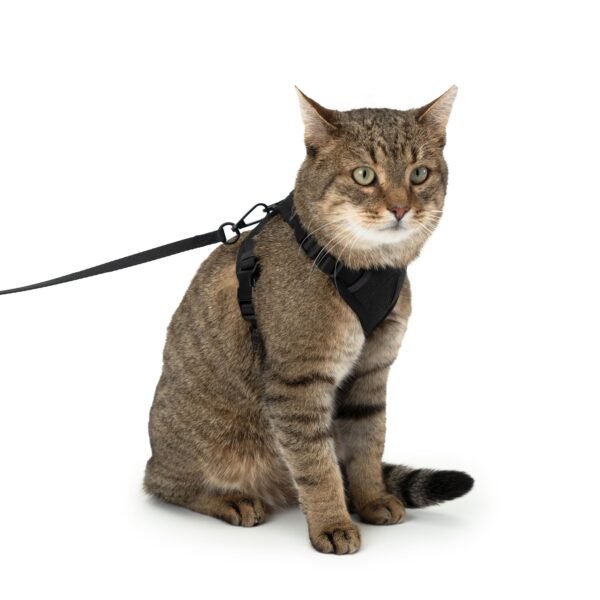 geschirr-katze-leine Escape-Proof Cat Harness & Leash Set with AirTag Pocket