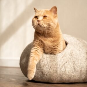 graue-filzhoele-katze Felt Cat Cave – Handmade Natural Wool