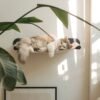 haengematte-fuer-katze-wand-1 SWING | Wall-Mounted Cat Hammock – Cozy Floating Bed (Heavy Duty - Up to 15kg)