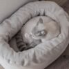 Luxury Cat Bed – Soft Cord Cozy Nest (Oval Design)