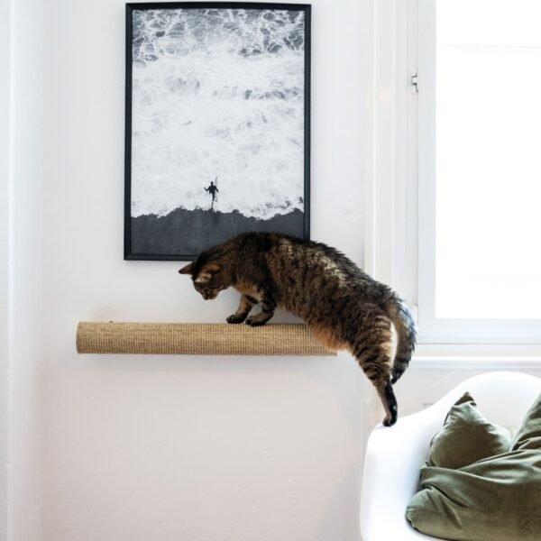 Wall-Mounted Cat Scratching Post – Sisal Climbing Log