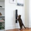 Wall-Mounted Cat Scratching Post – Sisal Climbing Log