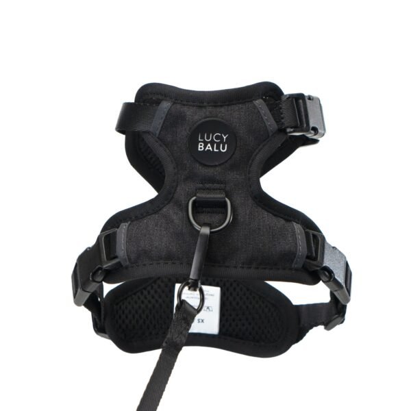 katzen-brustgeschirr-schwarz Escape-Proof Cat Harness & Leash Set with AirTag Pocket