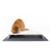 katzen-fressnapf-unterlage Silicone Cat Feeding Mat – Spill-Proof Bowl Base