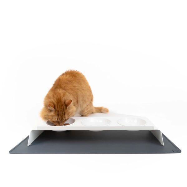 katzen-fressnapf-unterlage Silicone Cat Feeding Mat – Spill-Proof Bowl Base
