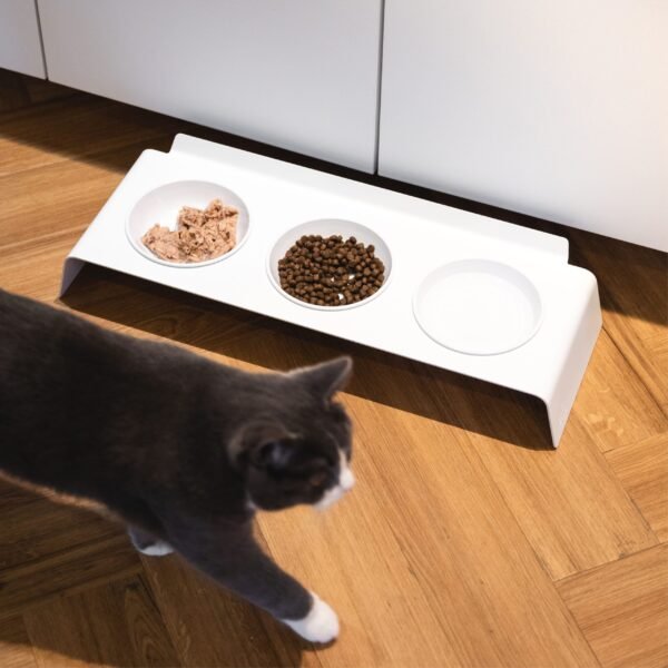 Elevated Cat Feeding Station – Bowl Set (Ergonomic Design)