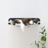 katzen-haengematte SWING | Wall-Mounted Cat Hammock – Cozy Floating Bed (Heavy Duty - Up to 15kg)